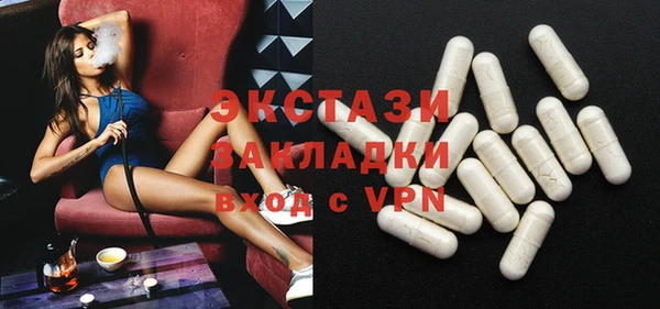 шишки Арсеньев