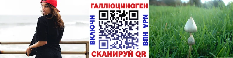наркошоп Гаврилов-Ям Галлюциногенные грибы Psilocybine cubensis